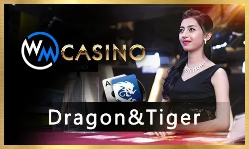 Daily rewards and free spins